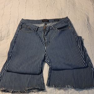 Judy Blue size 18W Super Flare Jeans